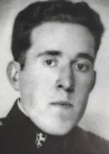 Harald Rygh (portrettbilde)
