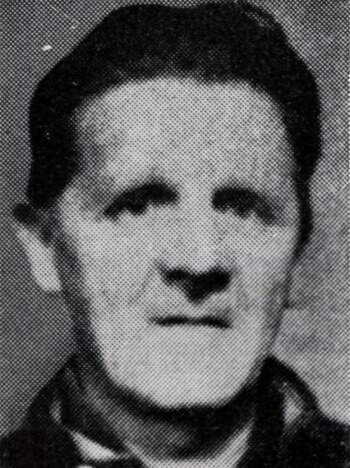 Henry Edvin Mikalsen (portrettbilde)