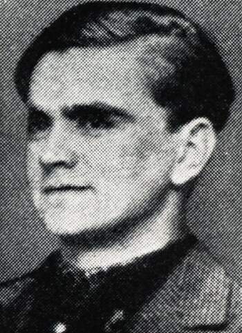 Alf Harry Solli (portrettbilde)